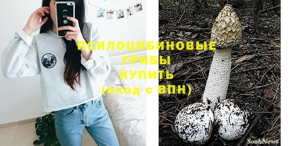 не бодяженный Осташков